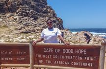  Cape of Good Hope & Penguins Boulder's Beach in Private Car 