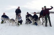 Hiking with Husky in Akureyri (private)
