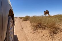 Private 2 Days Tour from Marrakech to Zagora Desert + Camel trekking & Camp