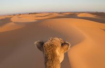 3-Day Private Desert Tour from Marrakech to Erg Chebbi with a Camel Ride