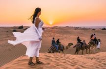 Evening Desert Safari & BBQ With Live Shows,Camel Ride,Falcon pic