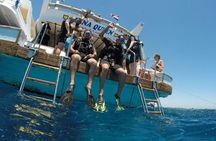 Full-Day Scuba Diving Tour in Hurghada with Lunch & Pick-Up