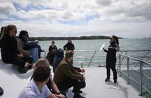 Auckland Dolphin and Whale Watching Eco-Safari Cruise