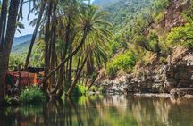 Agadir or Taghazout: Paradise Valley Atlas Mountain Swimming Trip