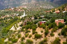 Agadir or Taghazout: Paradise Valley Atlas Mountain Swimming Trip