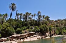 Agadir or Taghazout: Paradise Valley Atlas Mountain Swimming Trip
