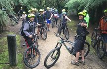 Easy Bike Tour - Mt Wellington Summit Descent & Rainforest Ride