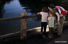 Nocturnal Secrets: A Mangrove Adventure