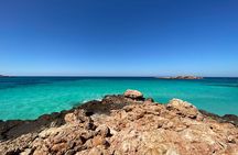 Snorkeling at Dimaniyat Islands and Dolphin Watching