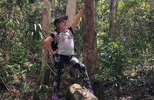 Deluxe Tamborine, Springbrook, Skywalk, Glow Worm Cave
