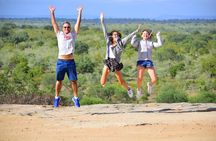 Private Full Day Safari l Kruger National Park from Hazyview or Skukuza