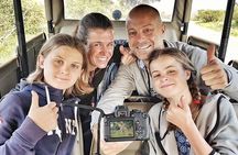 Kruger National Park l Private Afternoon Safari from Hazyview