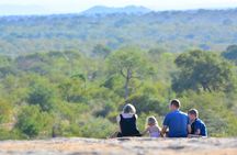 Private Morning Game Drive from Hazyview l Kruger National Park
