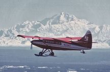 Denali Grand Flightseeing Tour from Talkeetna