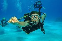 Scuba Diving Open Water PADI Course - Sharm El Sheikh