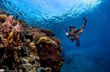 Scuba Diving Open Water PADI Course - Sharm El Sheikh