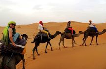 Shared group Fez to Fez Sahara tour 2Days/1Night 