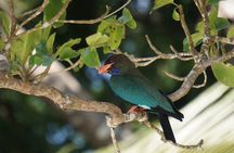  Hike to Elephant beach exploring tropical flora and fauna