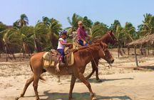 Horseback Riding Playa Larga