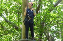 Zip Lining and Canopy Tree Tour in Rio de Janeiro