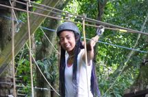 Zip Lining and Canopy Tree Tour in Rio de Janeiro