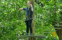 Zip Lining and Canopy Tree Tour in Rio de Janeiro