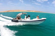 4-Hour Swim with Dolphins in a Private Speedboat in Hurghada