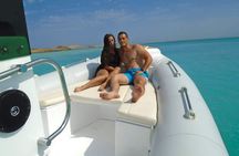 4-Hour Swim with Dolphins in a Private Speedboat in Hurghada