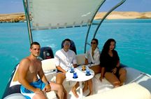 4-Hour Swim with Dolphins in a Private Speedboat in Hurghada