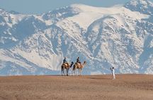 From Marrakech: Agafay Desert Camel Experience