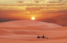 Dubai Morning Desert Safari With Dune Bashing - Private