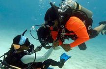 4 Hour Scuba Diving Course in Tayrona Park