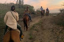 Horseback Riding Wariruri Beach Tour in Aruba