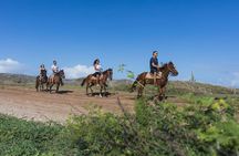 Horseback Riding Wariruri Beach Tour in Aruba
