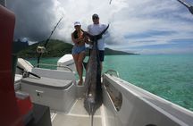 Private Big Game Fishing Day
