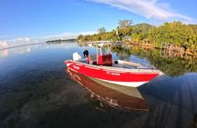 Private Big Game Fishing Day