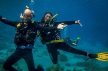 2 Stops Scuba Diving for beginners Full Day Boat Trip,Transfer, Lunch – Hurghada