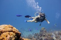 2 Stops Scuba Diving for beginners Full Day Boat Trip,Transfer, Lunch – Hurghada