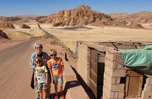 South Sinai Desert Tours With a Camel 