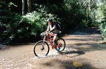 No.1 Chiang Mai: 21 km Mountain Biking from Takkatan Caves