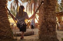 Siwa Oasis Tour From Cairo and Giza (Safari)