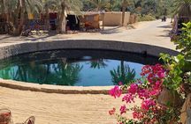 Siwa Oasis Tour From Cairo and Giza (Safari)