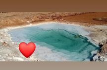 Siwa Oasis Tour From Cairo and Giza (Safari)