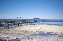 Small-Group Half-Day Languedoc Wine and Oyster Tour from Montpellier