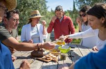 Small-Group Half-Day Languedoc Wine and Olive Tour from Montpellier