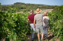 Small-Group Half-Day Châteaux of Montpellier Wine Tour