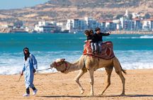Visite Agadir Medina with camel or Hors riding 