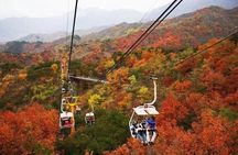 Beijing Private Mutianyu Great Wall Tour with English Driver