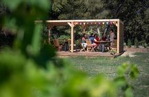 Private Half-Day Languedoc Wine Tour from Sète