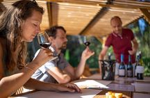 Private Half-Day Languedoc Wine Tour from Sète